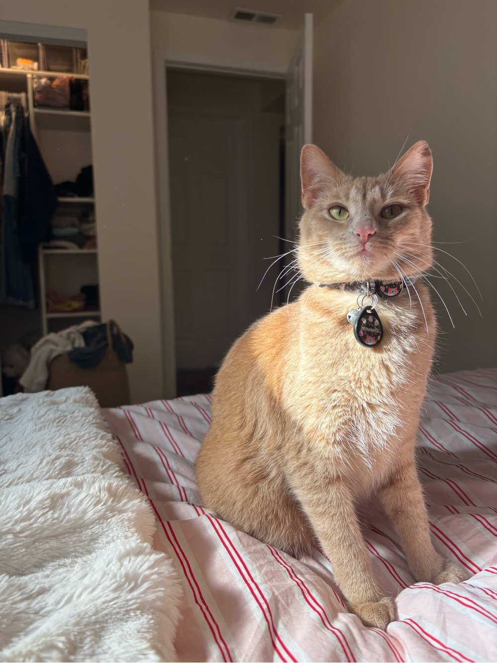 VERNEITA iS LIVE SHOW LISTING! CLICK ON TO BE NOTIFIED WHEN I GO LIVE! - Picture 12 of 12